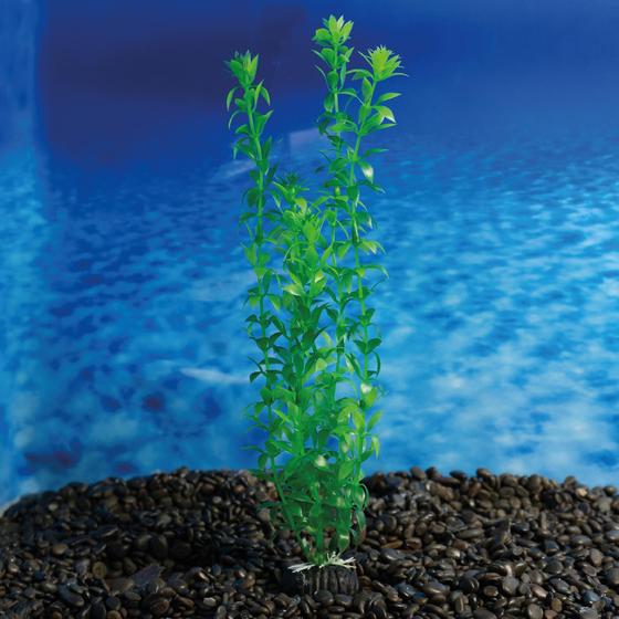 Imagem de Planta plastica soma economy 30cm verde(mod.432)