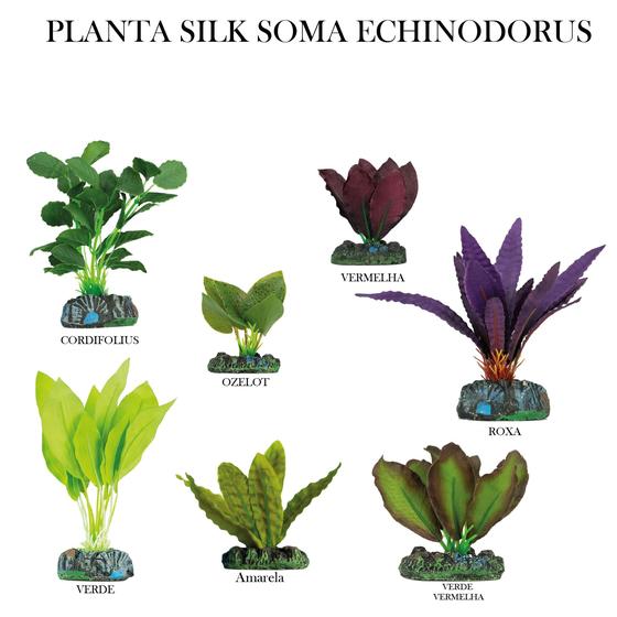 Imagem de Planta silk soma echinodorus verde vermelha 4cm