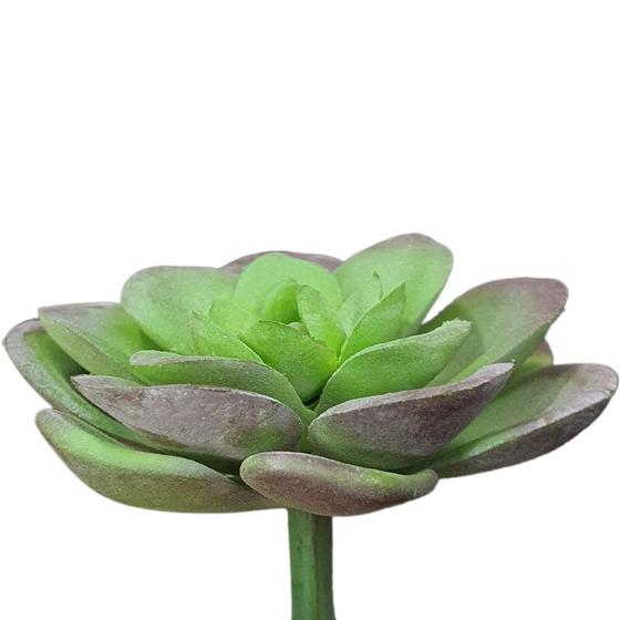 Imagem de Planta Suculenta Echeveria Artificial para Decoração