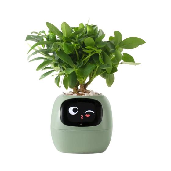 Imagem de Plantadores Inteligentes Tuya Ivy Endless Fun 49 Expressões 7 Sensores AI Fácil Diversão Cuidados