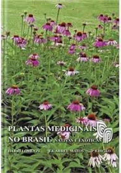 Imagem de Plantas medicinais no brasil