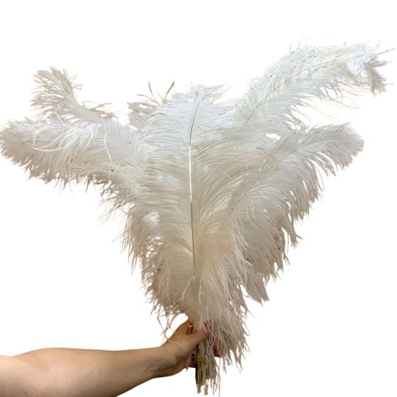 Imagem de Plumas de Avestruz Extra Tipo Chorona Branca Carnaval 25g