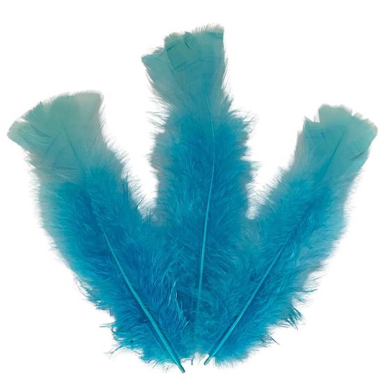 Imagem de Plumas e Penas Coloridas Artesanato 200 Unidades