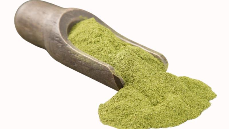 Imagem de Pó de Moringa 500gr