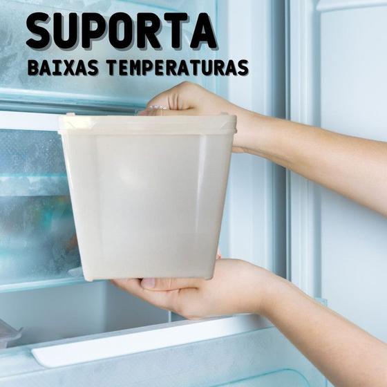 Imagem de Pote De Plástico Fábrica 10L 2 Pçs