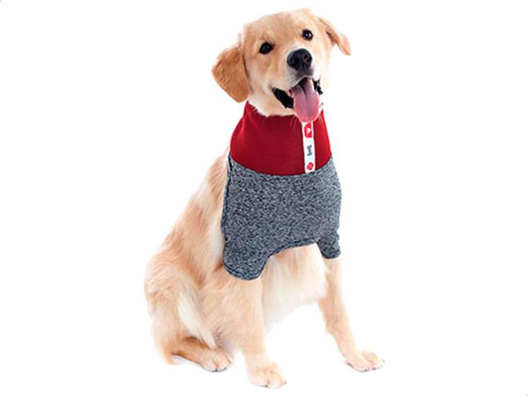 Protetor De Pescoço Cachorro Tecido Roupa Pet Med Cães Nº 2 - Roupas para Cachorro / Gato e Acessórios - Magazine Luiza Protetor De Pescoço Cachorro Tecido Roupa Pet Med Cães Nº 2 - Roupas para Cachorro / Gato e Acessórios - Magazine Luiza