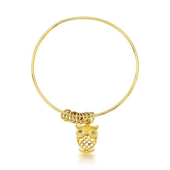 Imagem de Pulseira rigida com argolas e pingente de coruja 