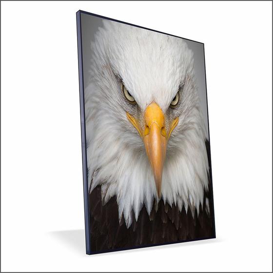 Imagem de Quadro Águia Canvas Com Vidro
