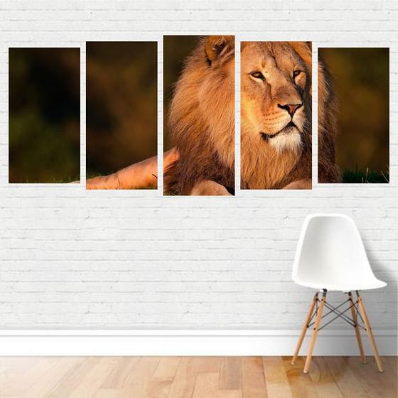 Imagem de Quadro Animais - Felinos Leão Deitado 155X65 Em Tela Canvas