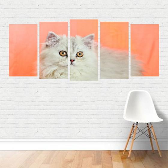 Imagem de Quadro Animais Gato Persa Branco Doméstico Estimação Canvas