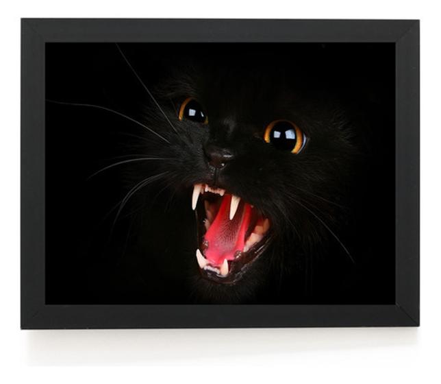 Imagem de Quadro Animal Gato Preto Love Cats Foto Poster Moldurado