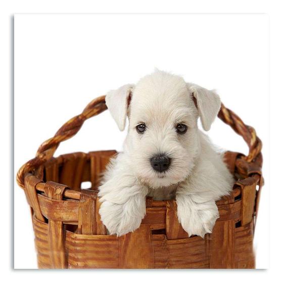 Imagem de Quadro Cachorro I Uniart Branco 30x30cm