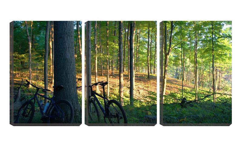 Imagem de Quadro canvas 30x66 bicicletas na mata