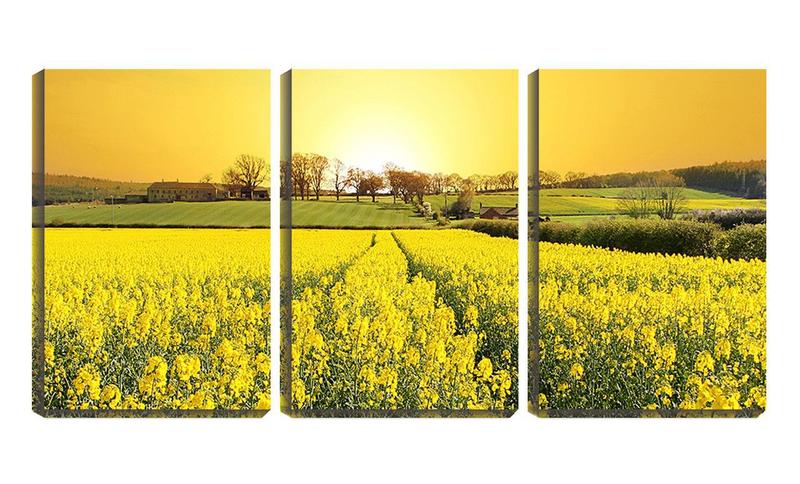 Imagem de Quadro canvas 30x66 campo de flores amarelas