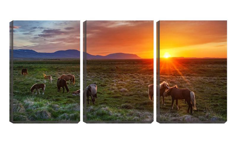 Imagem de Quadro canvas 30x66 cavalos no pasto pela manhã