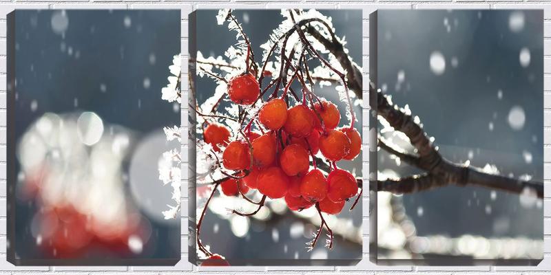 Imagem de Quadro canvas 30x66 frutos gelados pela manhã