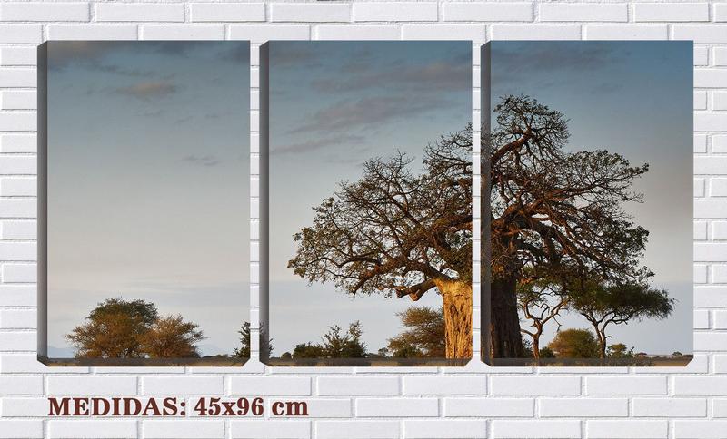 Imagem de Quadro canvas 30x66 grande baobá africano