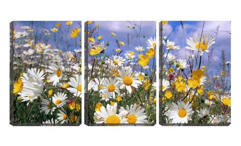 Imagem de Quadro canvas 30x66 pequenas flores e hastes