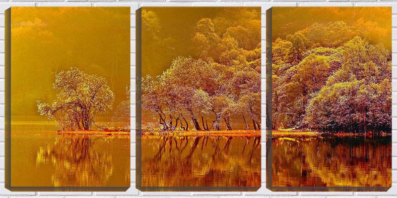 Imagem de Quadro canvas 30x66 vegetação sobre o reflexo do lago