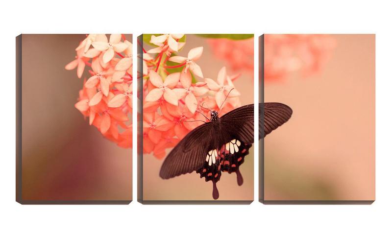 Imagem de Quadro canvas 45x96 borboleta na flor pequena