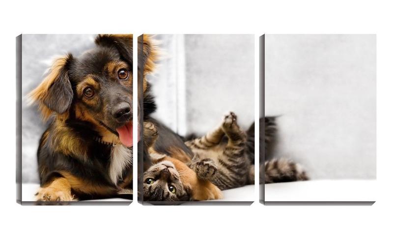 Imagem de Quadro canvas 45x96 cão e gato brincando