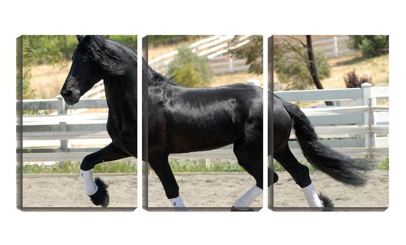 Imagem de Quadro canvas 45x96 cavalo negro no curral