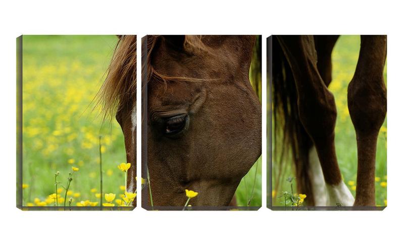 Imagem de Quadro canvas 45x96 cavalo pastando entre flores