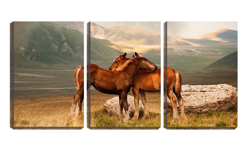 Imagem de Quadro canvas 45x96 dois cavalos ao pé da montanha