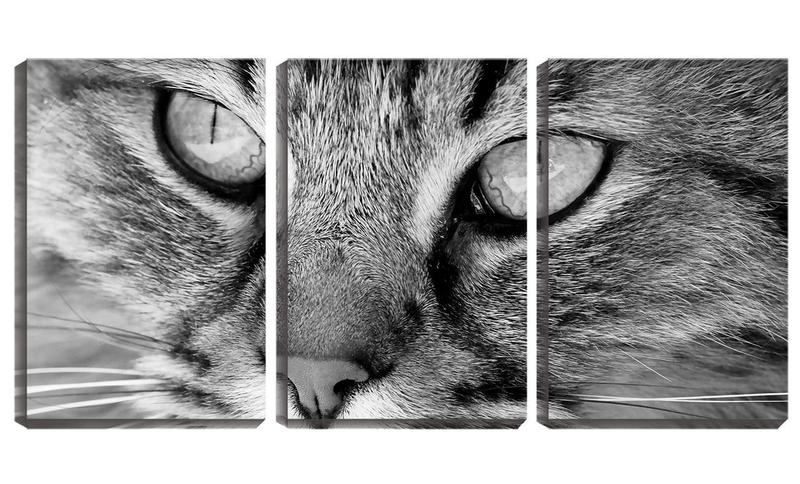 Imagem de Quadro canvas 45x96 olho de gato peludo pb