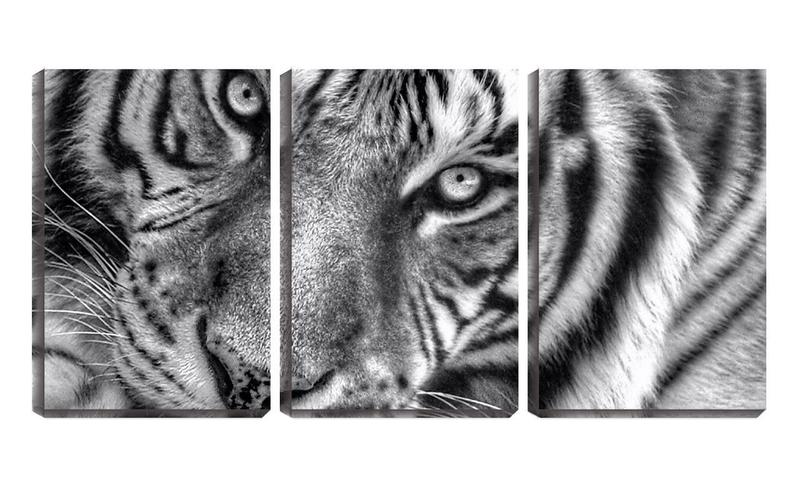 Imagem de Quadro canvas 45x96 olhos abertos de tigre pb