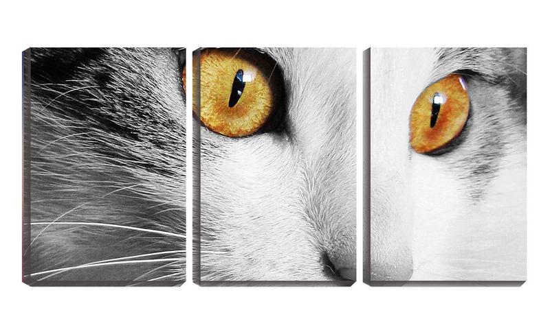 Imagem de Quadro canvas 45x96 olhos verdes de gato pb