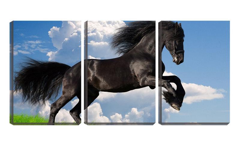 Imagem de Quadro canvas 55x110 cavalo negro crinas ao céu azul