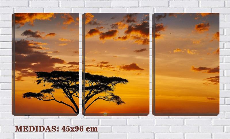 Imagem de Quadro canvas 55x110 céu dourado na áfrica