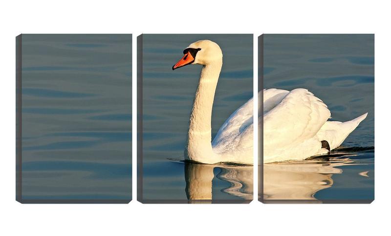 Imagem de Quadro canvas 55x110 cisne solitário no lago