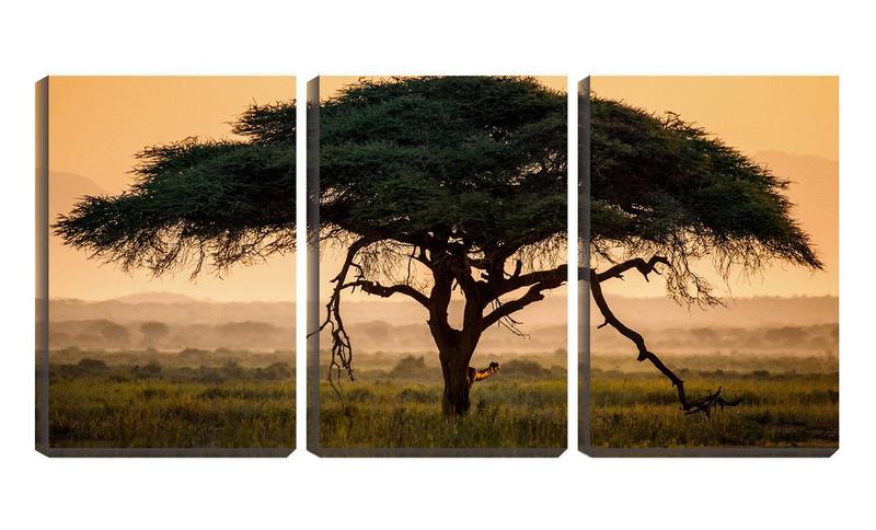 Imagem de Quadro canvas 68x126 copa de árvore e galhos secos