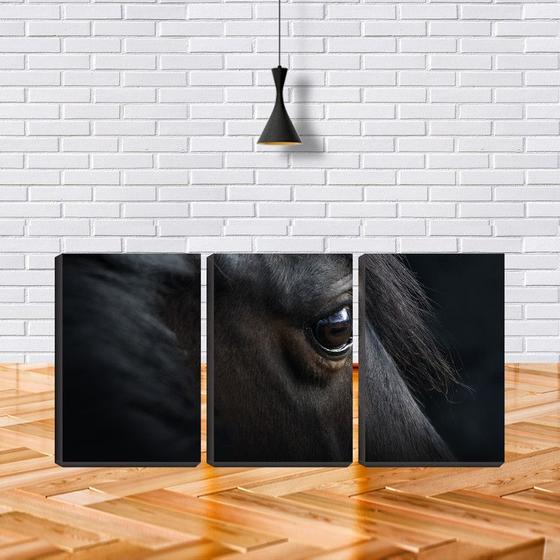 Imagem de Quadro canvas 80x140 olho negro de cavalo