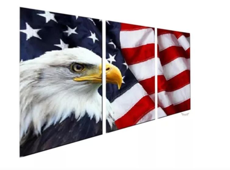 Imagem de Quadro Decorativo 3 Telas aguia bandeira americana"