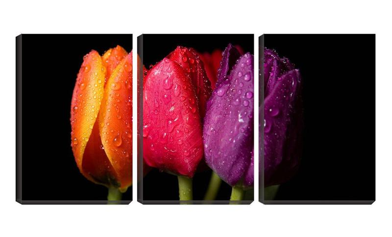 Imagem de Quadro Decorativo 30x66 água em três tulipas coloridas