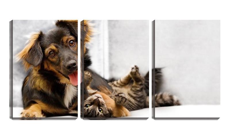 Imagem de Quadro Decorativo 30x66 cão e gato brincando