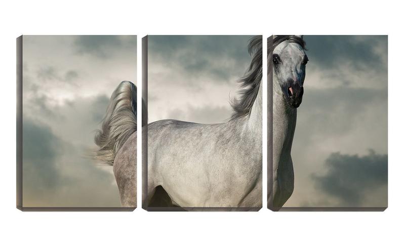 Imagem de Quadro Decorativo 30x66 cavalo branco curioso