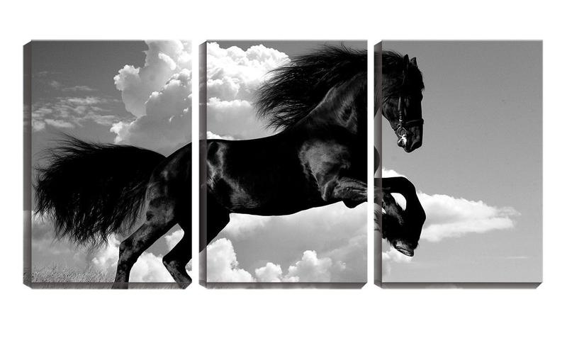 Imagem de Quadro Decorativo 30x66 cavalo negro céu pb