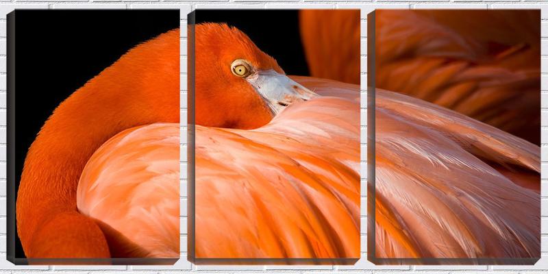 Imagem de Quadro Decorativo 30x66 flamingo entre penas