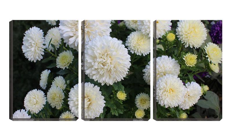 Imagem de Quadro Decorativo 30x66 flores brancas reunidas