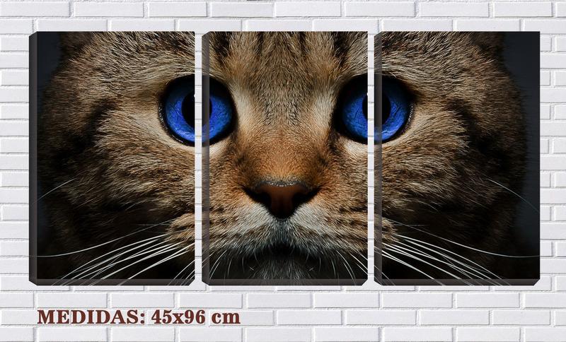 Imagem de Quadro Decorativo 30x66 olhos azuis de gato pardo