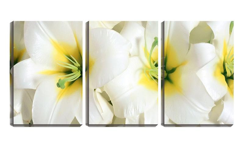 Imagem de Quadro Decorativo 30x66 pétalas de flores brancas