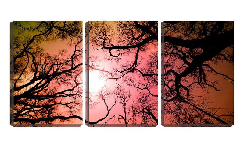 Imagem de Quadro Decorativo 30x66 silhueta de galhos céu laranja