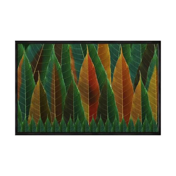 Imagem de Quadro decorativo 40x60cm canvas natureza colorida flnt046