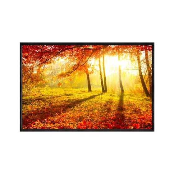 Imagem de Quadro decorativo 40x60cm vidro outono arvores e folhas no parque flnt019