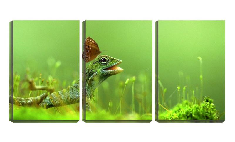 Imagem de Quadro Decorativo 45x96 borboleta no pequeno lagarto