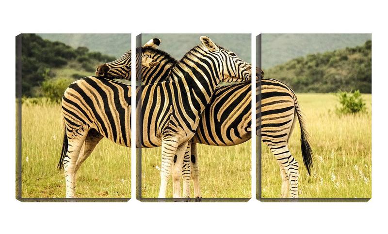 Imagem de Quadro Decorativo 45x96 duas zebras se coçando